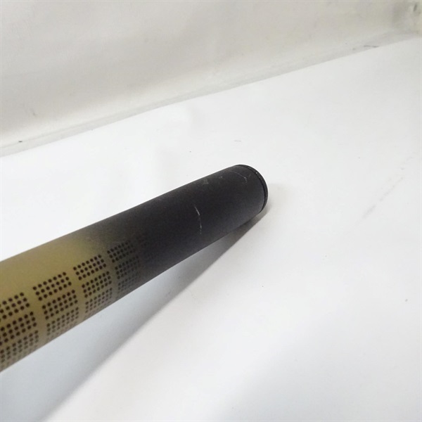 飛竜イカダくわせ１－２１０